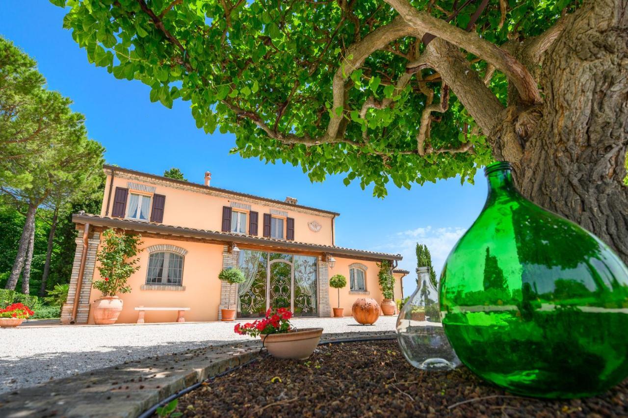 Il Poggianino Bed & Breakfast Poggio Berni Dış mekan fotoğraf