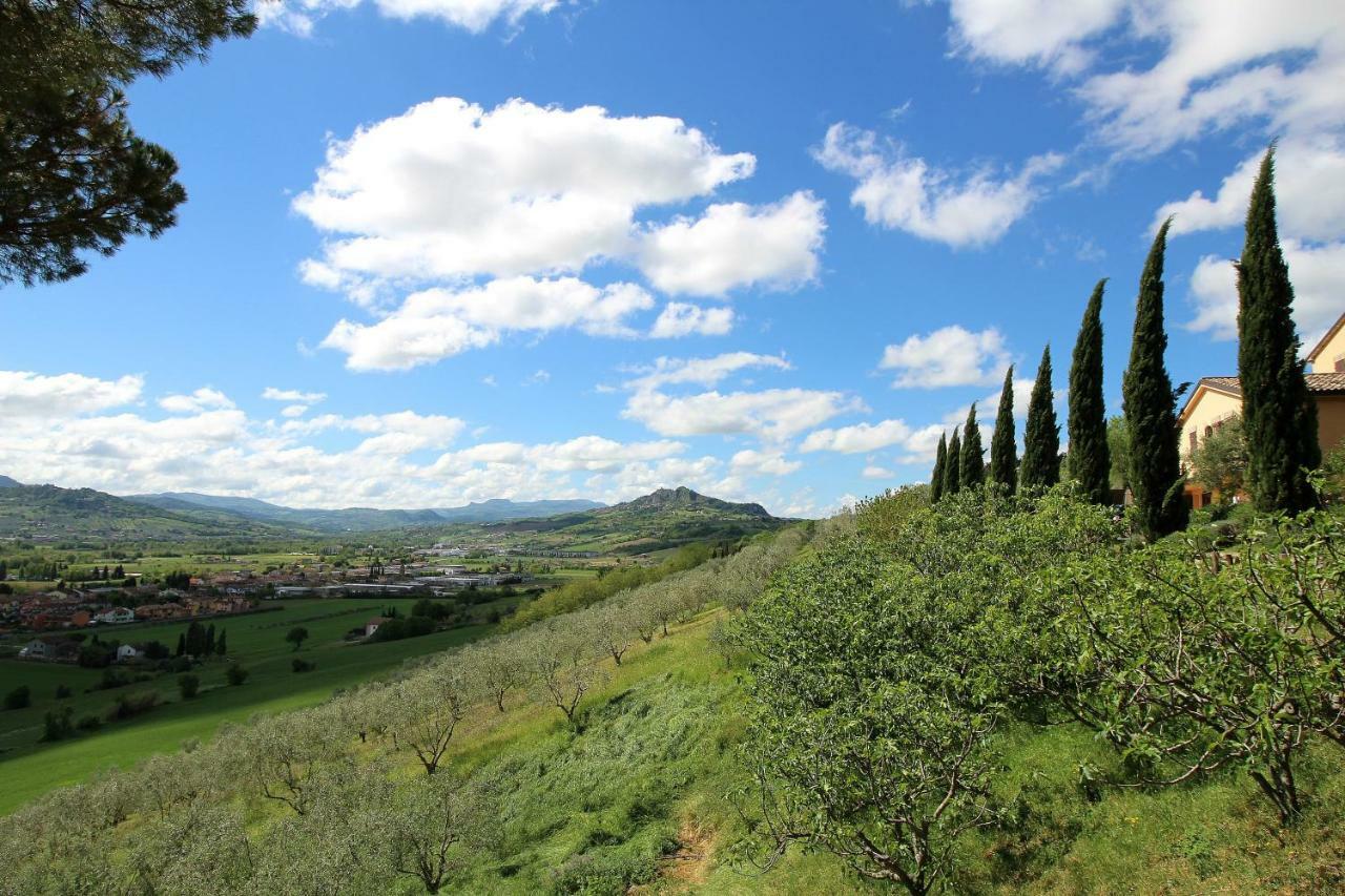 Il Poggianino Bed & Breakfast Poggio Berni Dış mekan fotoğraf